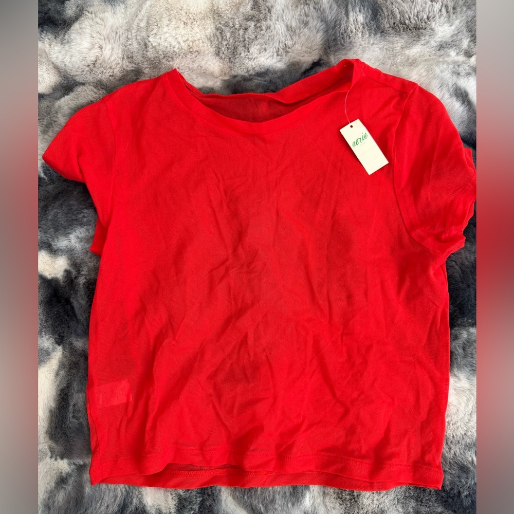 Aerie mesh crop top